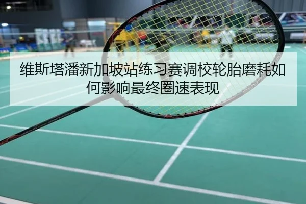 维斯塔潘新加坡站练习赛调校轮胎磨耗如何影响最终圈速表现